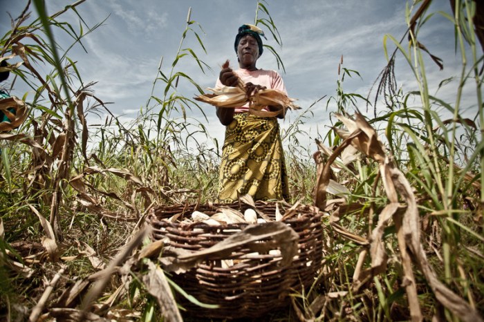 (c) Pablo Tosco / Oxfam Intermón