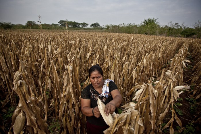 (c) Pablo Tosco / Oxfam Intermón