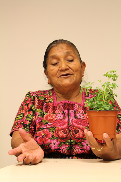 Sebastiana Aquino Sebastiana Aquino
