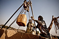 refugiados refugiados