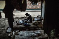 refugiados refugiados