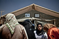 refugiados refugiados