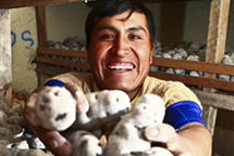 Hugo Pariona, Perú. Alimentos con poder Hugo Pariona, Perú. Alimentos con poder